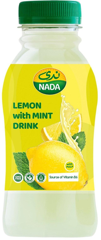Nada lemon mint juice with pulp 300 ml