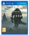 Sony Computer Entertainment PS4 Game Shadow Of Colossus