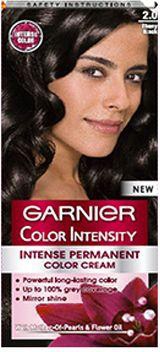 Garnier Color Intensity - 2.0 Ebony Black
