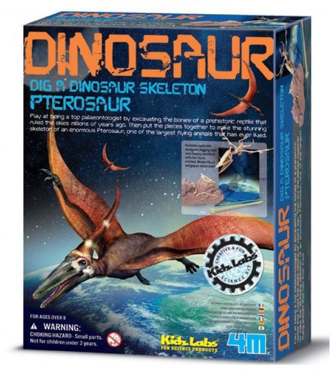 4M Dinosaur Dig A Skeleton Pterosaur 5 Pieces For Unisex - Multi Color