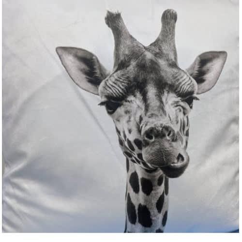 Tesco Giraffe Single Sided Print Throw Pillow Set Of 2