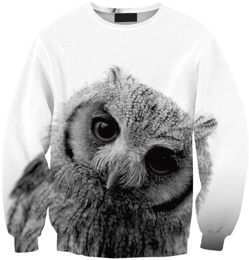 Honors Spring Autumn 3D Printed Owl O-Neck Unisex Sweatshirts