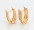 Carjay Jewels Gold Coated Earring hoops