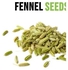 Fennel Seed 100g