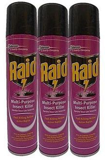 Raid Multi-Purpose Insect Killer Insecticide - 3 Cans- 300ml
