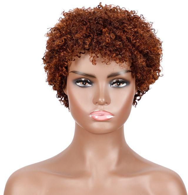 Fashion Idol Human Hair Wigs Short Afo Kinky Curl Brazilian Human Wigs