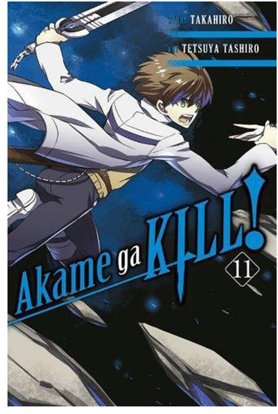 Akame Ga Kill!, Vol. 11 Paperback