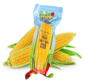 Sweet Corn Cob Ready to Eat 1 pc