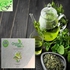 Organic Teatox Anti-parasite Tea 21-day Full Body Cleanse