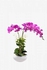Artificial Orchid Flower With Moss Grass Purple/Green/Brown 25(D) x 63(H)centimeter