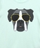 Boys Mint Green Dog Print T-shirt