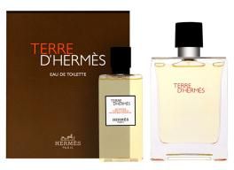 Hermes Terre D'hermes (M) Set Edt 100ml + Sg 80ml