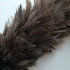 Ostrich feather cleaning brush