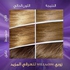 Wella Koleston Supreme Hair Color 8/1 Light Ash Blonde