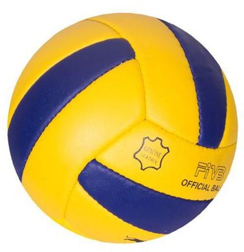 SPORT Pride FIVB VolleyBall Balls