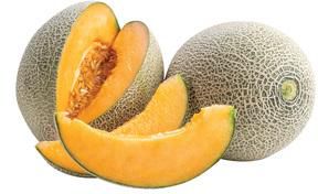 Rock Melon Iran 1.5 kg