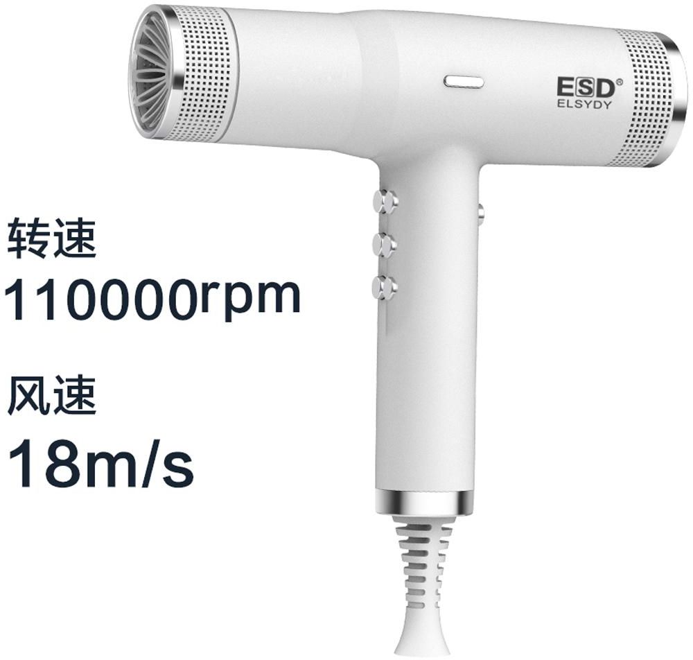 ESD Professional Hair Dryer (BLDC)