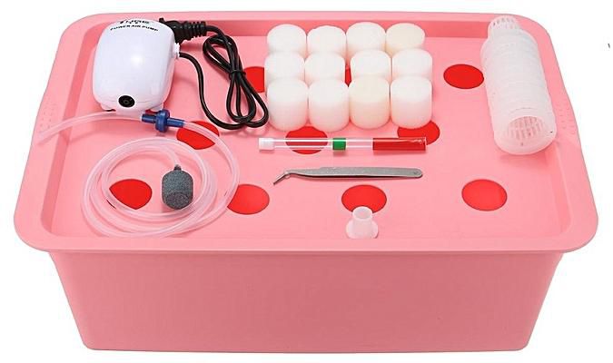 11 Holes Plant Site Hydroponic System Grow Kit Bubble Tub Water Culture Air Pump 