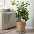 KLYNNON Plant pot, handmade bamboo, 32 cm - IKEA