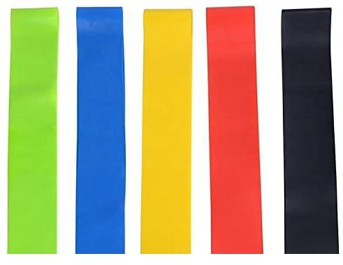 Loop Resistance Bands (Set Of 5) - Exercise Resistance Bands - 12-inch Loop Workout Band - Best For Stretching, Physical Therapy And Home Fitness - With Handy Carry Bag09876575