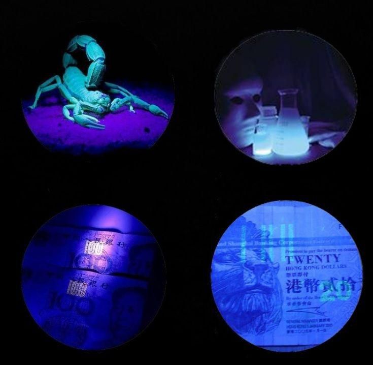 Alonefire UV Ultra Violet Money Detector Flashlight Torch 21 LED Lamp Model F5-SV21