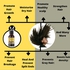 Mekis Jamaican Black Castor & Rosemary Oil–30ml,Promotes Hair Growth And Prevent Greying Of Hair