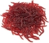 50Pcs/Lot 3.5cm Red Earthworm Maggot Soft Plastic Fishing Lure