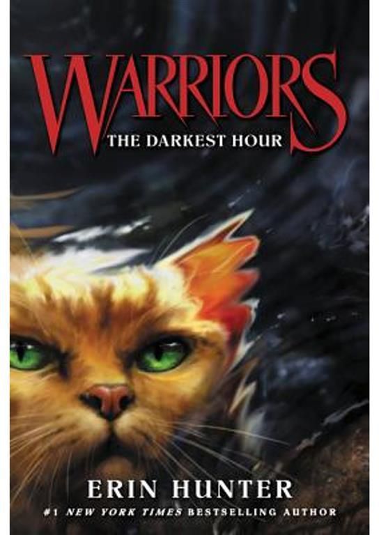 Warriors 6 The Darkest Hour