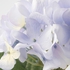 SMYCKA زهرة صناعية - داخلي/خارجي/وردة اليابان أزرق 45 سم