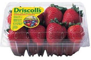Strawberry USA Per Pack - 454 g