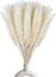 Fancy Natural Dried Flowers Original Pampas Grass -Tall Extra Fluffy- Faux Artificial Dried (3)