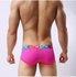Men's Underwear Low Waist Sexy Mens Briefs