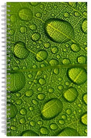 A4 Spiral Bound Printed Notebook Multicolour