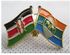 Fashion Kenya - Kilifi Double Flag Lapel Pin