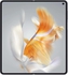 Huawei Mate X3 Dual SIM 12GB RAM 512GB  4G LTE Black
