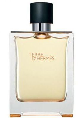 Terre D'Hermes by Hermes for Men - Eau de Parfum, 75ml