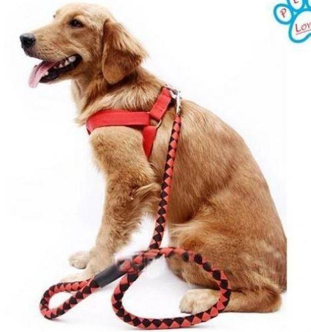 Double Layered Pet High Quality Nylon Dog Harness Collar And Leash