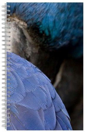 دفتر ملاحظات بطبعة وسلك حلزوني مقاس A4 أزرق/رمادي