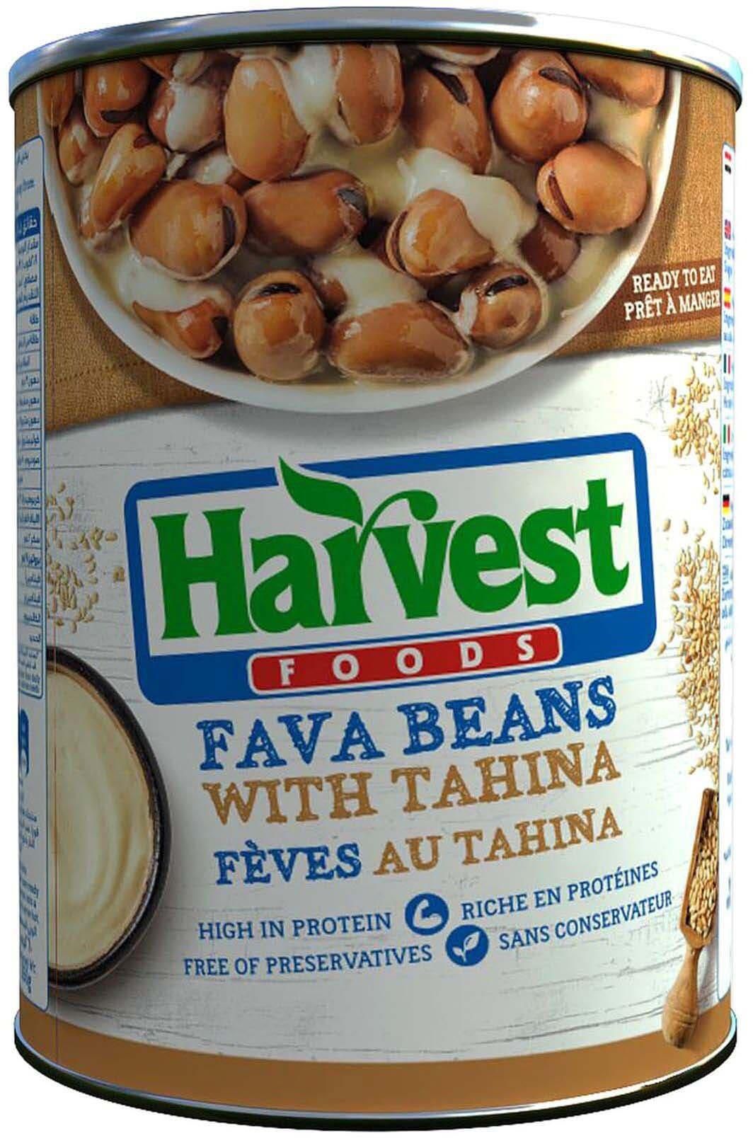 Harvest Foul With Tahina - 400 Gram