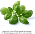 كبسولة نبات ريحان كليك آند جرو (20.5 × 8.3 × 6.8 سم)