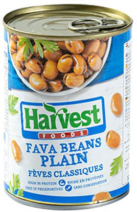 Harvest Plain Fava Beans 400g