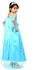 Kid's Disney Princess Elsa Costume ‫(Size XS) ‫(502227)