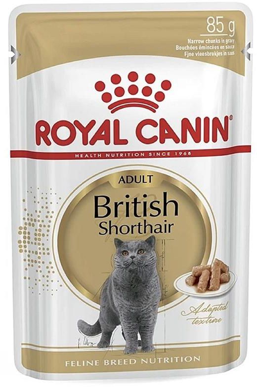 Royal Canin British Shorthair Cat Food 85g - Pack of 12
