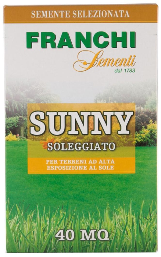 Franchie Grass Seeds Sunny