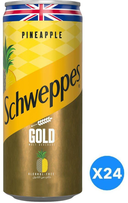 Schweppes Drink Pineapple, 300 ml - 24 Cans