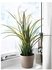 Artificial potted plant, grass