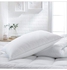 2-Piece Soft Luxurious Pillow Set Microfiber White 50x75cm