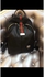 Paris Bags Fashionable Backpack - Black
