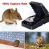 Mouse & Rat Trap Press Catcher Traps