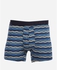 Cottonil Patterned Stretch Boxer - Blue&White